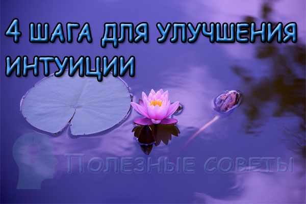 4 шага для улучшения интуиции