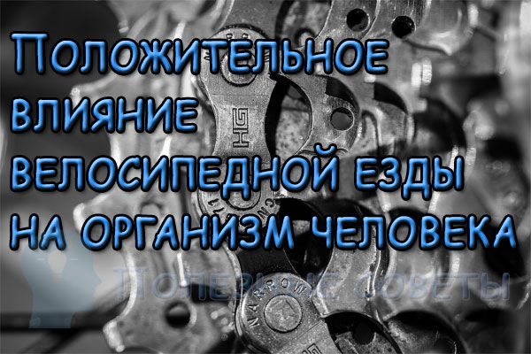 Положительное влияние велосипедной езды на организм человека