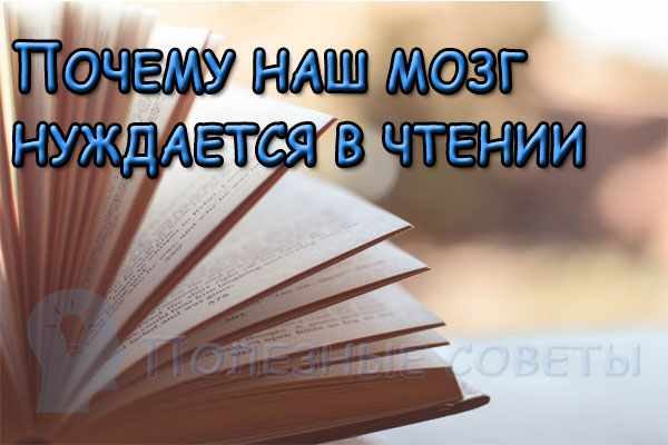 Почему наш мозг нуждается в чтении