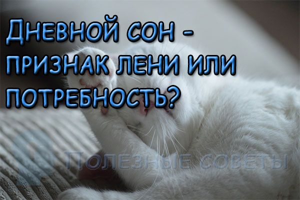 Дневной сон - признак лени или потребность?